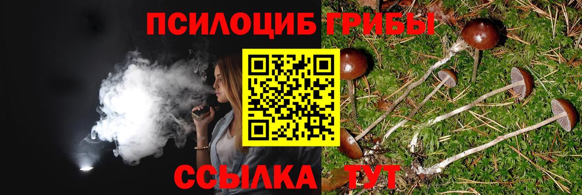 Галлюциногенные грибы ЛСД  Вход с VPN  Кимры 