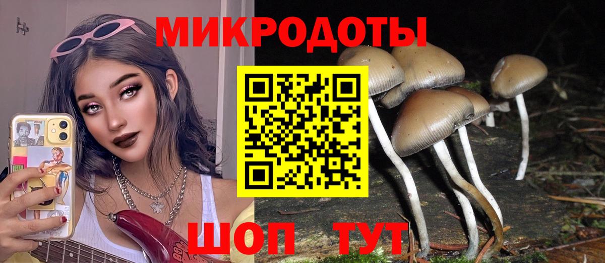 Галлюциногенные грибы мухоморы Кимры